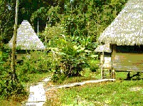 Cuyabeno Reserve